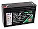PATONA Premium AGM 6V 12Ah Batería de Plomo ácido VRLA Sin Mantenimiento 1800 ciclos