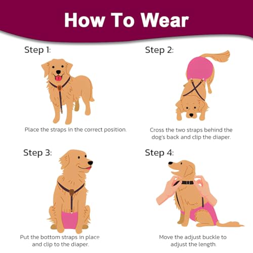 KEMUZ hundewindeln Clip hundewindel Pet Soft Hundewindel-Hosenträger,Hunde-Hosenträger, Hunde-Windelgeschirr, Hosenträger für Windeln, Damen, Welpen-Hosenträger, Bauchbänder, Haustier-Kleidung (F)