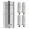 Culligan MaxClear 2.25 Gallon Gravity Water Filter System Removes Microplastics, PFAS & Lead, NSF/ANSI Certified, Polished Stainless-Steel Countertop Filter with 4 Ceramic Filters