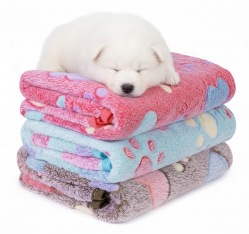 LeapSheep 犬の毛布 3枚 ペット用 毛布 ハット型 (S (60x40cm), ハット)