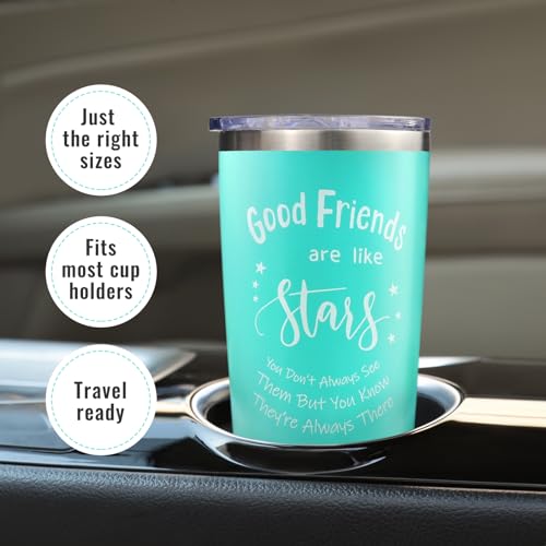 Panspace Insulated Tumbler with Straw