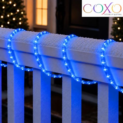Image of COXO 1 Meters LED Rope Light for Decoration - Waterproof Blue SMD Cove Light for Ceiling, Home Decor, LED Pipe Light for Diwali, Festival, Indoor, Outdoor Use (Blue, 1 Meter)