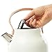 Haden Heritage 1.7 Liter Stainless Steel Electric Kettle, Hot Water Kettle with 360-Degree Base and Auto Shutoff, Ivory & Copper