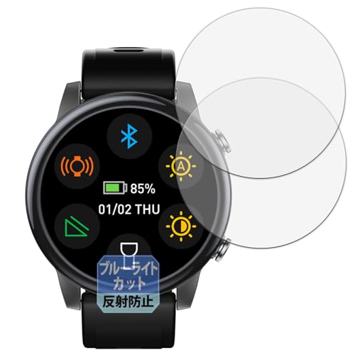 Leipsden �t�B���� SILLAID GW20 (2���Z�b�g) �Ή� �ی�t�B���� �u���[���C�g�J�b�g �ڂɗD���� ���˒ጸ ���{��