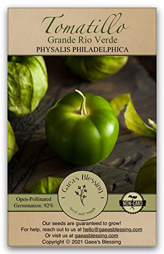 Gaeas Blessing Seeds - Tomatillo Seeds - Non-GMO Heirloom Seeds with Easy to Follow Planting Instructions - Open-Pollinated and Untreated (Grande Rio Verde)