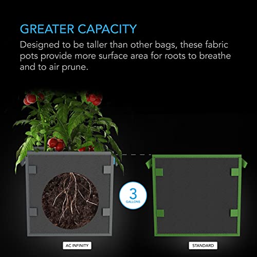 Macetas cuadradas de tela AC Infinity de 3 galones para frutas con lazos de estaca pack de 5 4