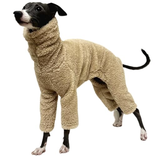 IUOUTG E[̃I^[hSgۉ~rtR[g_炩pW}~C^AO[̕Whipet Dog PjsVC̃R[g͒^^ɓKĂ