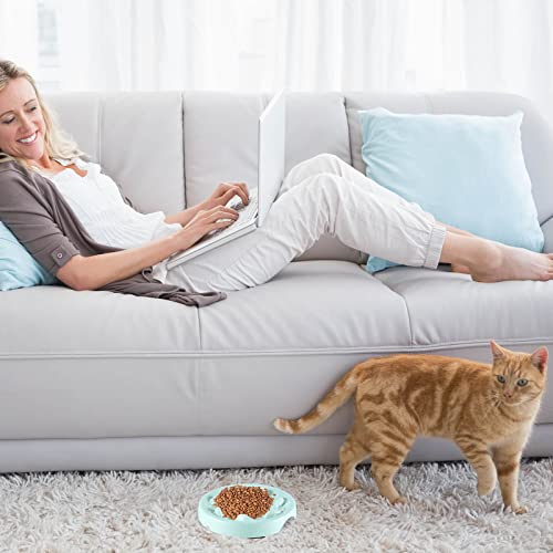 2 Pcs Cat Slow Feeder Bowl Pet Feeder Wet Food Slow Feed Raised Dish Healthy Eating Diet Fun Interactive Feeding Bowls For Cats And Dogs Dishwasher Safe, Fish Pool Design (Green, Small) #TOP4
