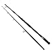 Daiwa SLSA1102HFS Sealine Surf SLS Spinning Rod, 11