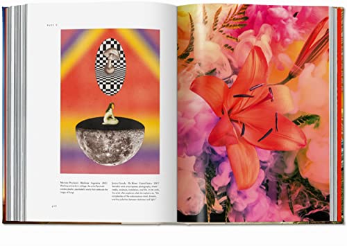 <p><strong>La Magia de las Plantas en Esoterismo</strong> </p>
<p>Descubre cómo las plantas poseen propiedades mágicas y curativas en diferentes tradiciones esotéricas. Conoce su uso en rituales, pociones y su conexión con la energía espiritual. Aprende a integrar estas plantas en tu práctica diaria y potencia tus habilidades esotéricas. </p>
<p>Explora el poder transformador de las plantas y su significado en la cultura esotérica.</p>