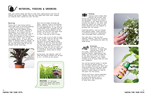 Grow Your Own Pet Plants: A Cute Guide to Choosing and Caring for Your Leafy Friends - Image 6