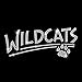 Wildcats with Paw Iron On Rhinestone Transfer