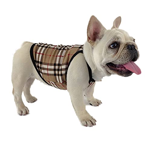 KJOET ����� �`�F�b�N�L���~�\�[�� ������ꌢ�p�x�X�g�y�b�g�������m�� ���^�����^�� �ĕ����킢�� �t�����`�u���h�b�O�� �L�ɂ����p (XL)