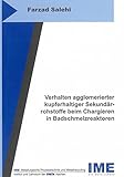  Verhalten agglomerierter kupferhaltiger Sekundärrohstoffe beim Chargieren in Badschmelzreaktoren (Schriftenreihe des IME)