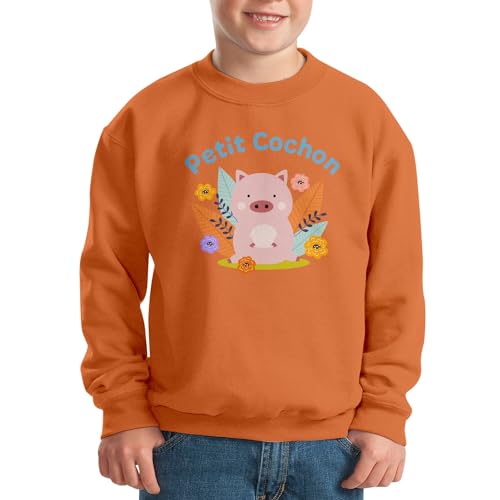 Sweatshirt enfant petit cochon idée cadeau anniversaire originale