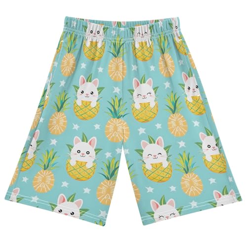 ALAZA Cute Cat Kitten Pineapple Pajama Shorts Sleep Shorts Pant Lounge Pajama Bottoms Elastic Waist with Pockets