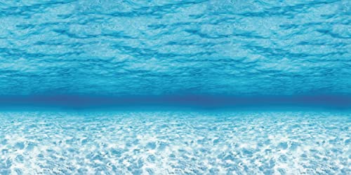 Fadeless Bulletin Board Paper, Fade-Resistant Paper For Classroom Decor, 48” X 12’, Under The Sea, 1 Roll #TOP6