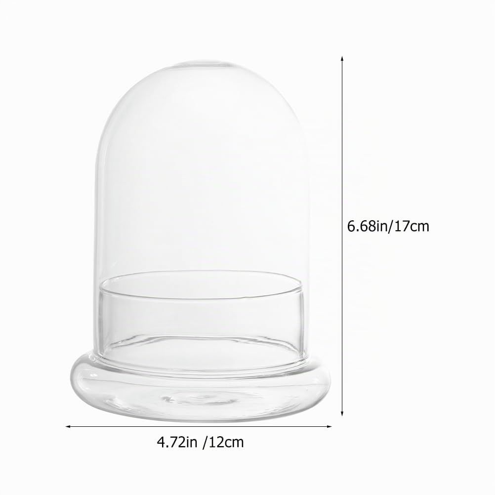 Bottiglia Di Vetro Per Terrario 6.69X4.72In Bottiglia Vuota Ecologica Con Cupola Trasparente Per Micro Paesaggio Muschio Display Casa Ufficio Decorazione