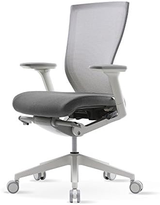 SIDIZ T30 Home & Office Multifunction Ergonomic Swivel Task Chair, Executive Chair, Gaming Chair (Grey)
