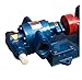 KCB18.3/33.3/55 /83.3/135/200 Gear Oil Pump MINGPING (Color : 3/4in 2T KCB-33.3 Pump+Coupling)