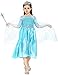 Vicloon - Disfraz de Princesa Elsa - Reino de Hielo - Vestido...