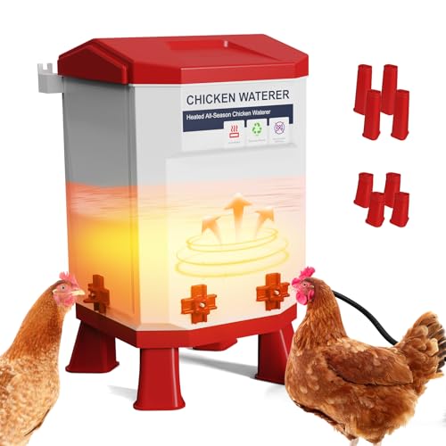 Heated Chicken Waterer for Winter