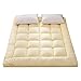 MHXY Japanische Bodenmatratze Klappbare Futon Matratze Stepp Tatami Aufrollbare Tatami-Bodenmatte Tragbares Isomatte-Bodenbett (Color : C, Size : 100cmx200cm)
