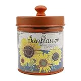 DOERDO Retro Iron Storage Box with Lid Vintage Farmhouse Kitchen Canister for Flour Sugar Coffee Tea