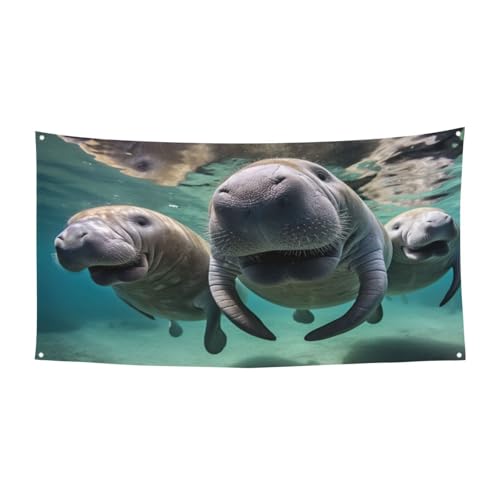 Crazy Save Manateeprint �J���t���p�[�e�B�[�o�i�[ ���j���f�R���[�V���� �ė��p�\ �a���� �L�O�� ������