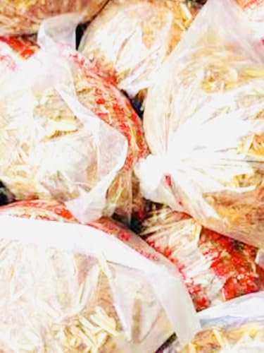 ?`  s[^ LTCY ꔠ20 (1)