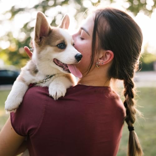 Maltraitez-vous votre animal de compagnie sans le savoir ?