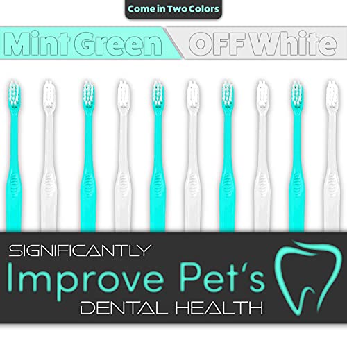 H&H Pets Toothbrush for Small Dogs & Cats - Soft and Extra Small Toothbrush Designed for Cats, Puppies, and XS Breed Dogs Like Teacups, Chihuahuas, Yorkshire, and Poodle, 8 Count Pack - Image 6