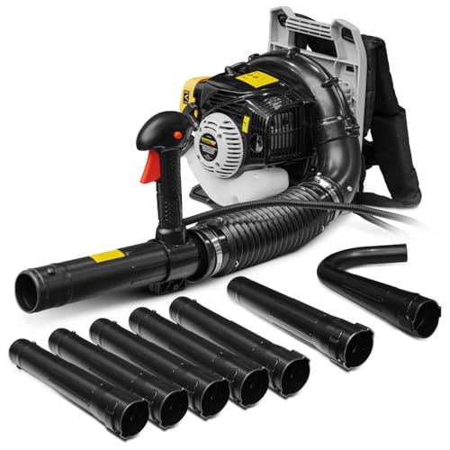 Souffleur Thermique Dorsal 26CC + Acc corniche