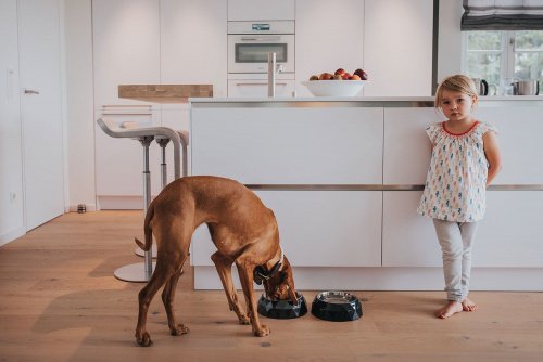 HUNTER KIMBERLEY Melamin-Napf, Futternapf, Trinknapf, für Hunde und Katzen, mit Edelstahlnapf, 700 ml, weiß