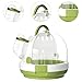 FJMQHU Bird Carrier Cage Portable Parrot Travel Cage Small Animal Hamster Carrier Sturdy PP Material Lightweight Design Suitable for Travel Outdoor Home Use, Green