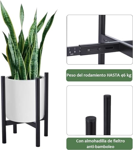 Mejores comprativas On-line Porta macetas listamos los 10 mejores. 8 Imagen adicional
