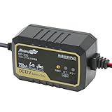 大自工業 セレクト式自動パルス充電器 12V/24Vバッテリー対応　購入特典付き 大自工業 DAIJI INDUSTRY MP-230 セレクト式自動パルス