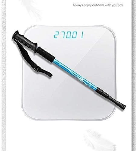 Light Weight Carbon Fiber External Lock Trekking Pole Section Portable Climbing Walking Silver Award Stick Easy to Carry.