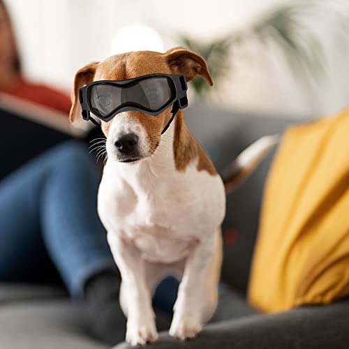 Dog Goggles Small Breed, Dog Sunglasses Small Breed Dog Eye Sun Light Protection, Uv Protection Goggles For Dog With Adjustable Straps, Small Black #TOP4