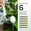 16oz Fiddle Leaf Fig Plant Food - Makes 96 Gallons of Fertilizer, Liquid Houseplant Fertilizer for Ficus Plants, Ideal Fiddle Leaf Fertilizer, 6-2-4 NPK Ficus Plant Food for Strong, Healthy Growth
