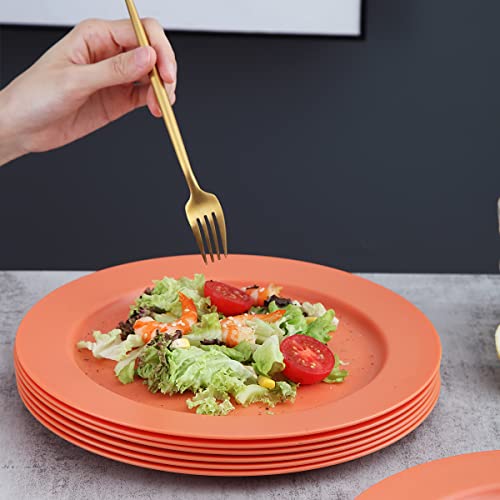 Kyraton 25cm Teller Set 8er, Abbaubar Gesunde Unzerbrechliches Plastikteller Kuchenteller für Kinder und Erwachsene, Leichte pastateller, BPA-Frei Essteller Mikrowellen