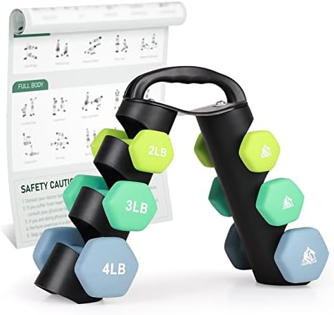 LIONSCOOL Conjunto de 2 halteres re...