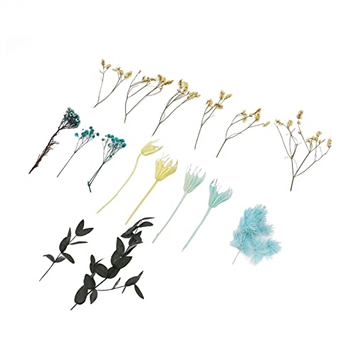 Flores secas naturales para decoración de mesa miniatura 6