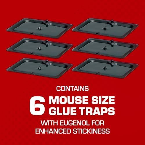 Tomcat Glue Traps Mouse Size with Eugenol for Enhanced Stickiness - Sticky Pads For Mice, Cockroaches, and Spiders, 6 Traps - 2