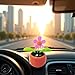 Orange Solar Dancing Flower Car Dashboard Decorations - Funny Solar Powered Dancing Flower Pot Car Ornaments Flower Swinging Toy for Car Decor, Funny Gifts, Solar Power Kits