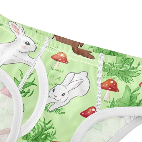 CHIFIGNO Cute Rabbits Mushrooms Green Underwear for Boys Soft Cotton Briefs Kids Boys Printed Brief Underwear4
