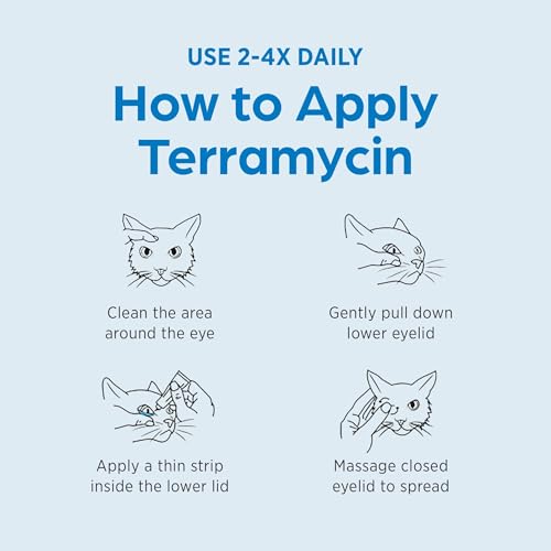 Terramycin Antibiotic Ointment for Eye Infection Treatment in Dogs, Cats, Cattle, Horses, and Sheep, 0.125oz Tube
