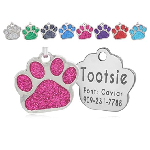 io tags Pet ID Tags, Personalized Dog Tags and Cat Tags, Custom Engraved, Easy to Read, Cute Glitter Paw Pet Tag (Pink)