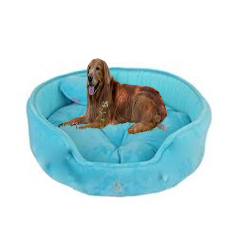slatters be royal store Reversible Dual Ultra Soft Velvet Luxury Sofa Bed PET Bed | Dog Bed | CAT Bed | Puppies Puppy Bed | Rabbit Bed (B0BGLPQH9T) Amazon Price History, Amazon Price Tracker