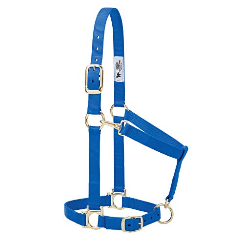 Weaver Leather Basic Adjustable Nylon Halter, Blue, 1' Average Horse